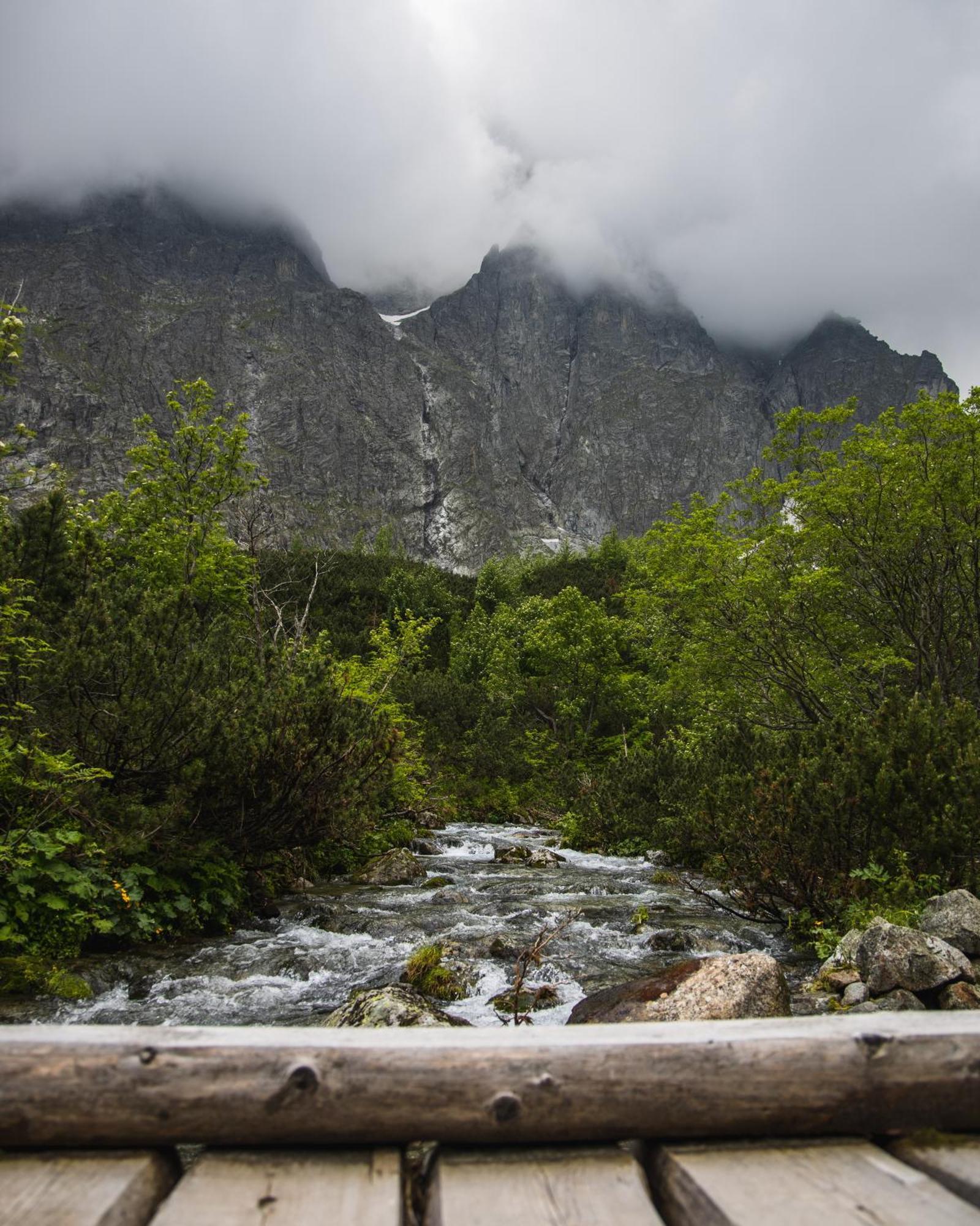 Apartmany Lesy A Luky - V Srdci Tatier Vysoké Tatry Exterior foto