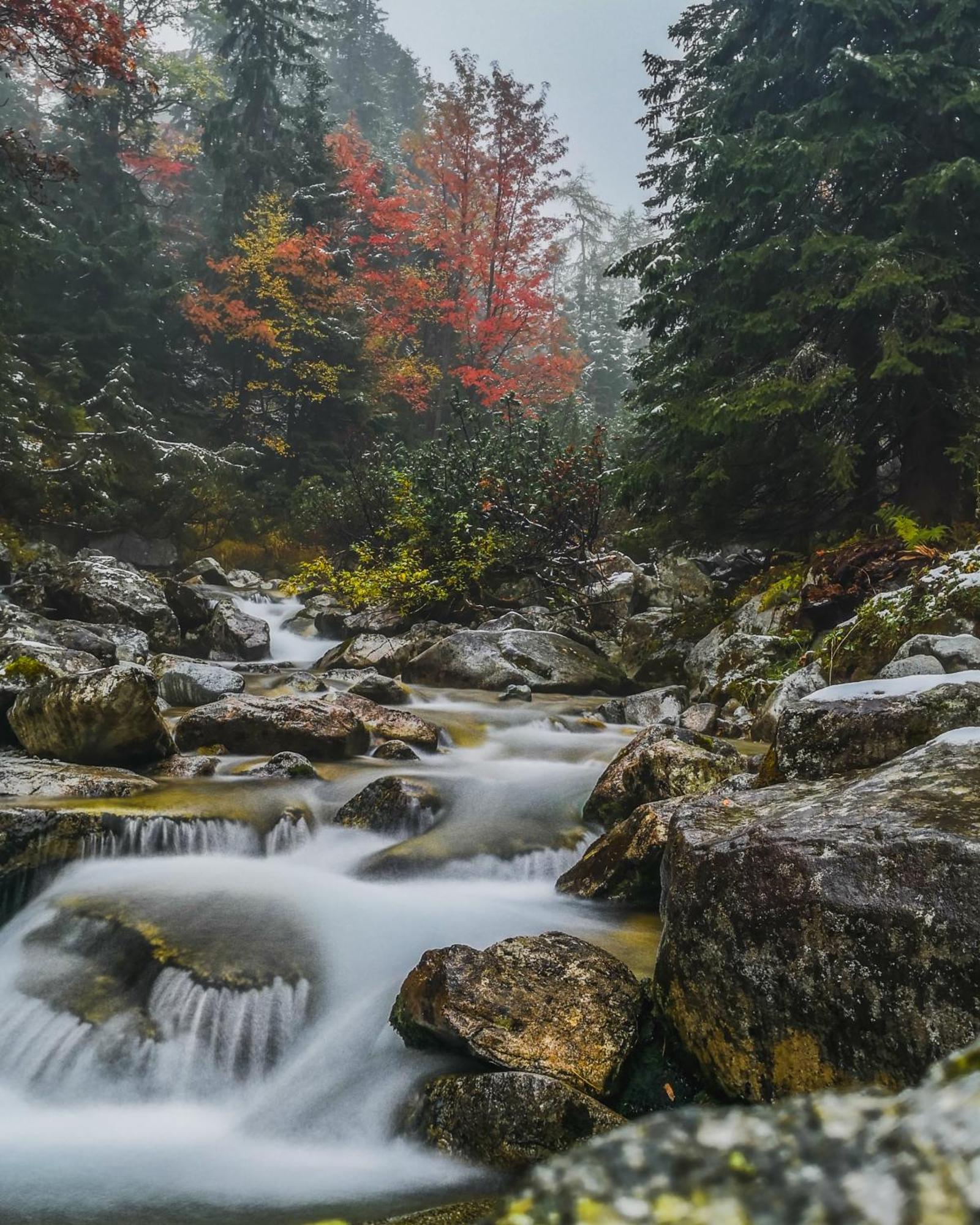 Apartmany Lesy A Luky - V Srdci Tatier Vysoké Tatry Exterior foto
