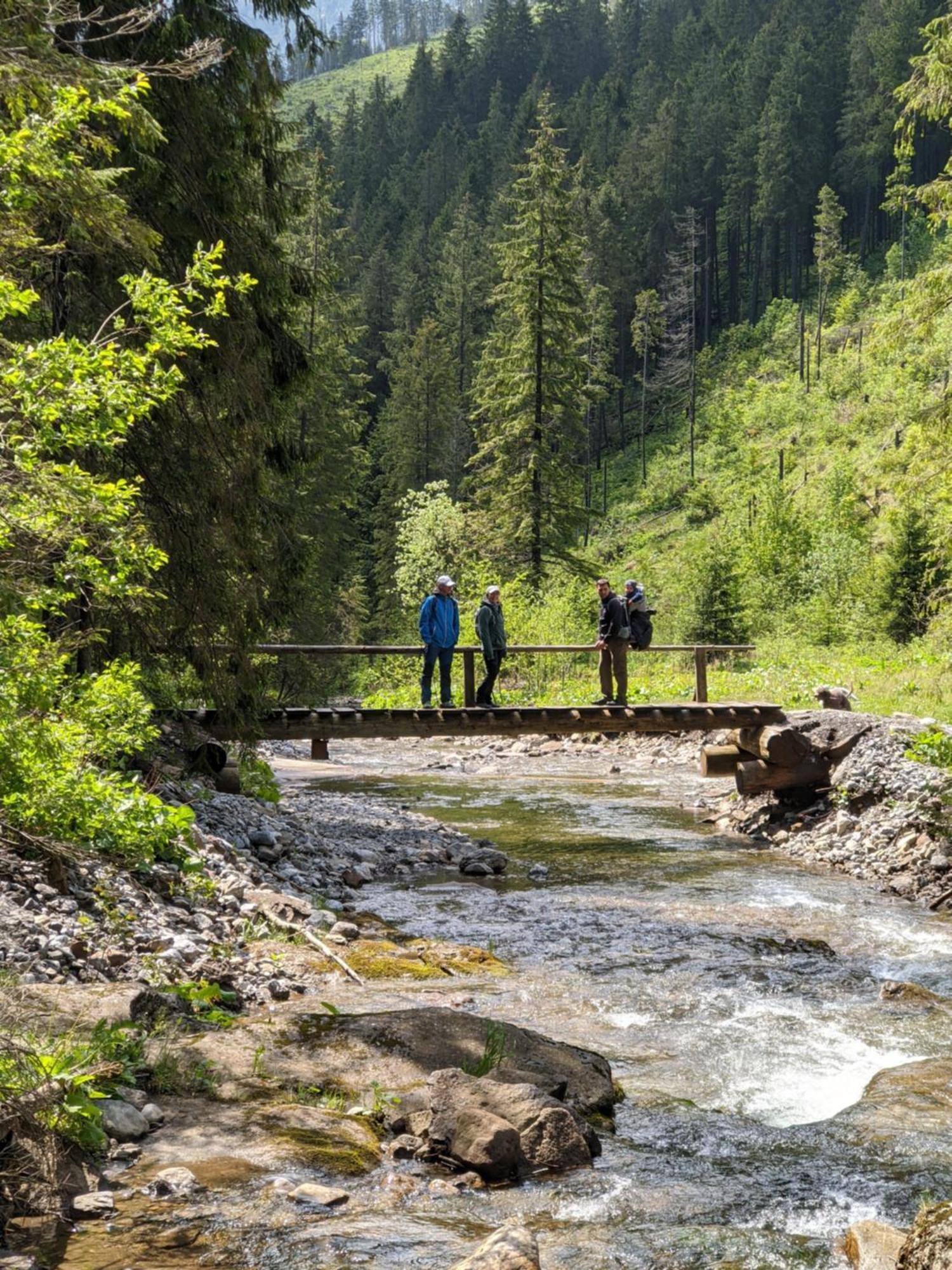 Apartmany Lesy A Luky - V Srdci Tatier Vysoké Tatry Exterior foto